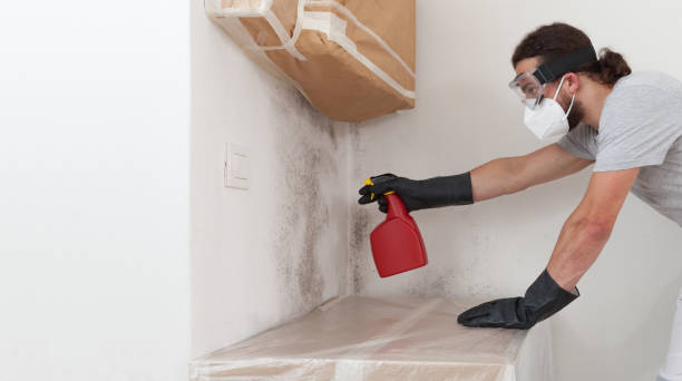 Professional Attic Mold Remediation technician working in Levering, MI